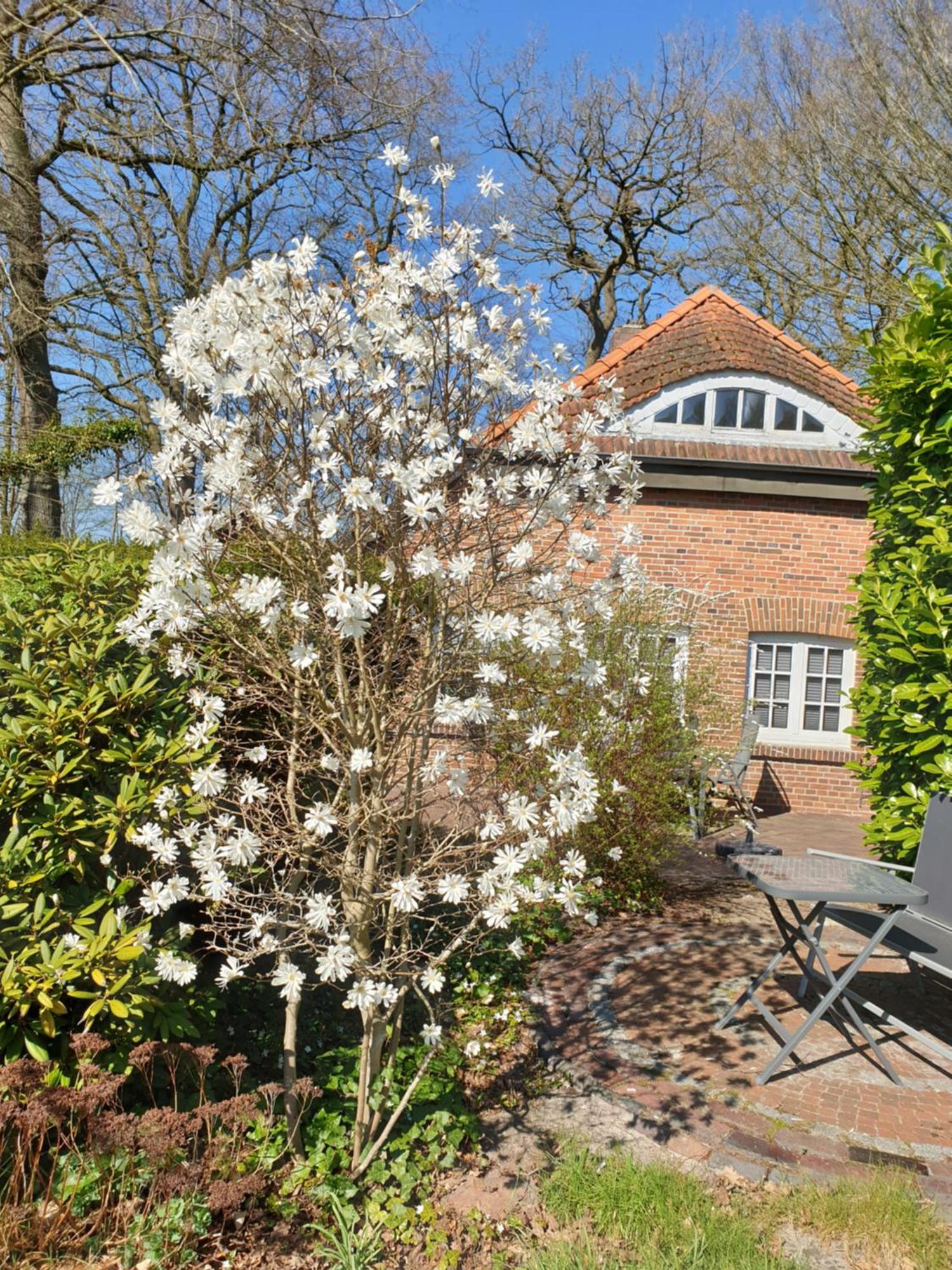 Apartment Kaminzimmer Westerstede