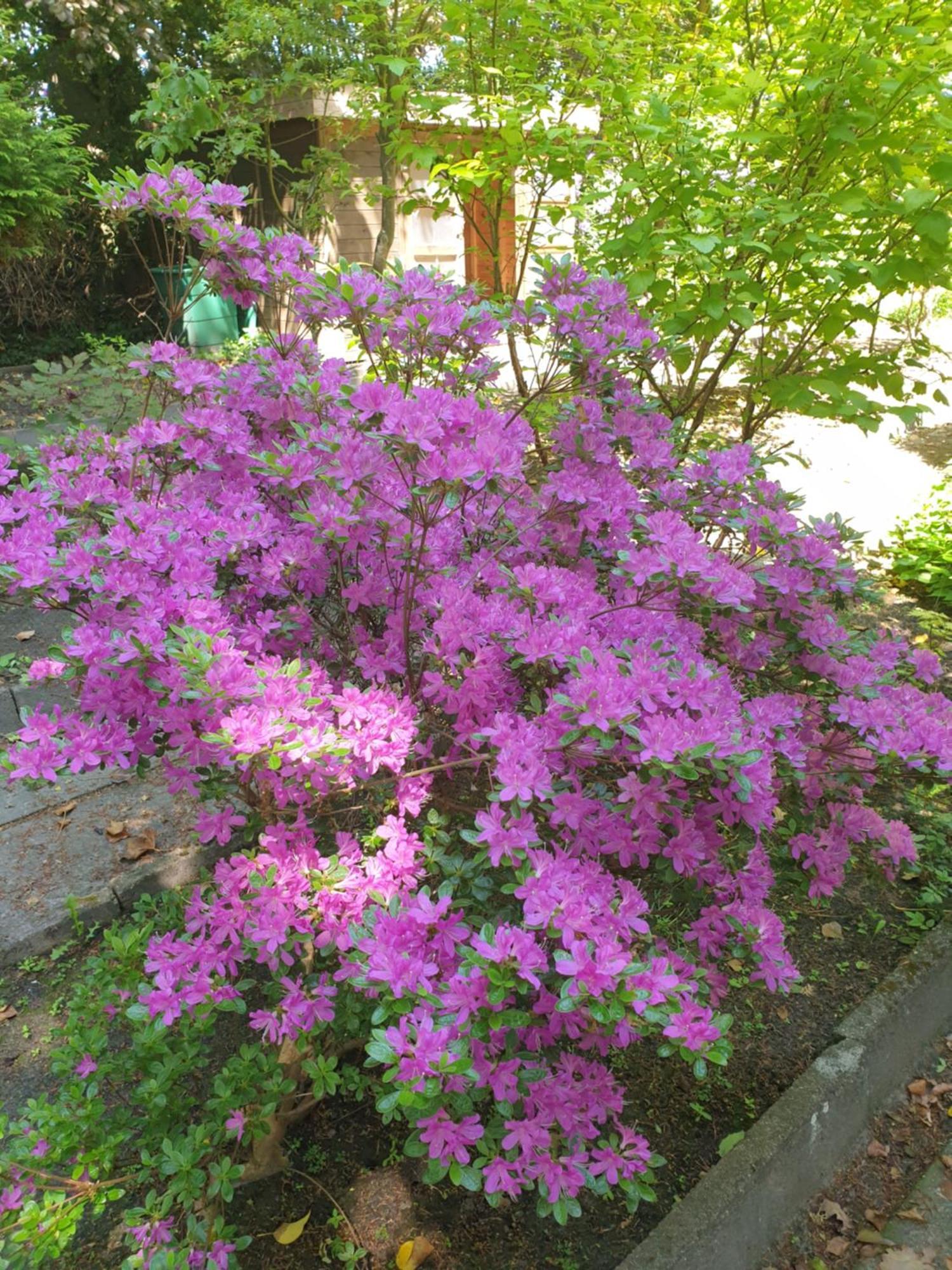 Kaminzimmer *