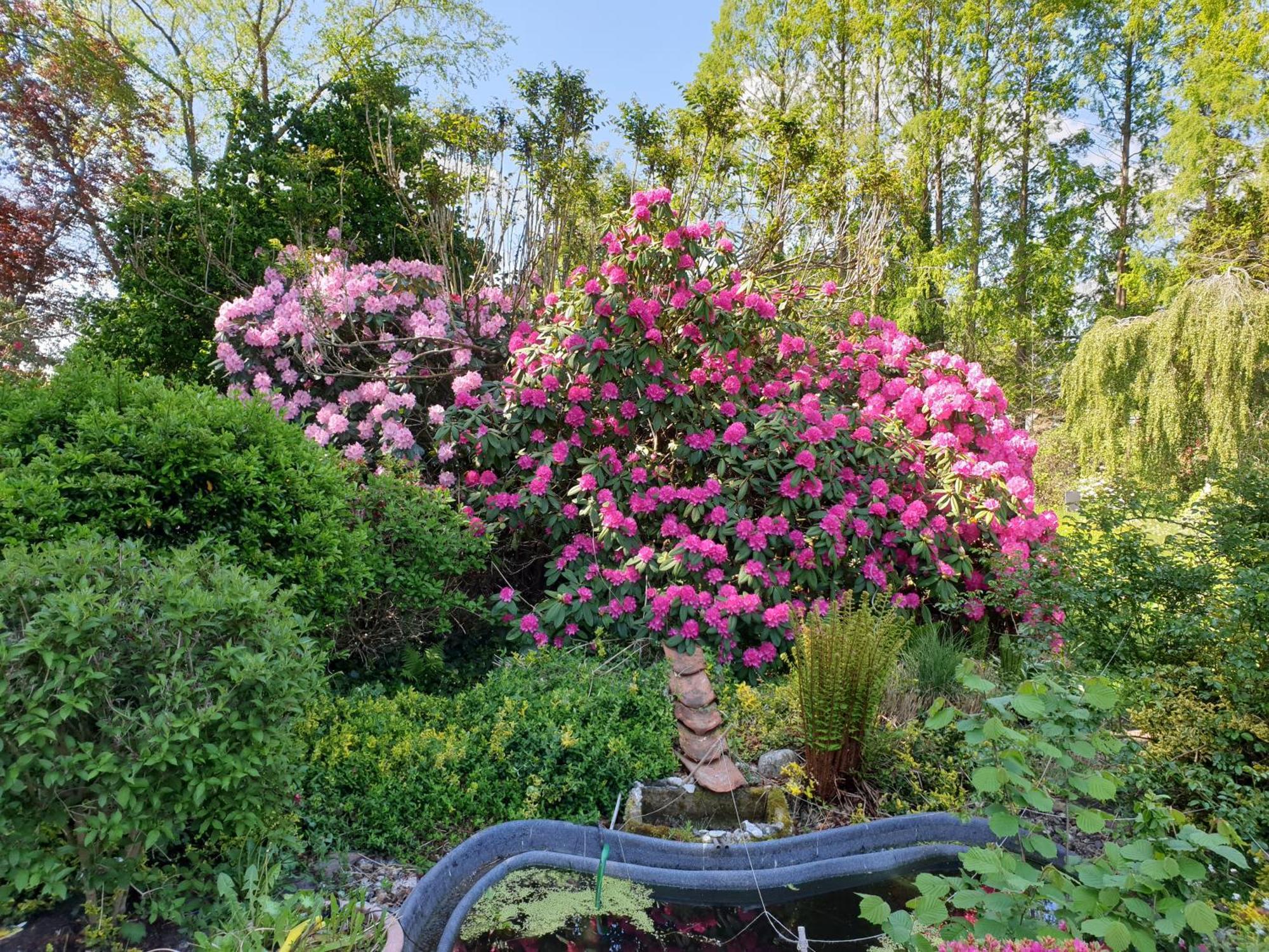 Kaminzimmer Westerstede