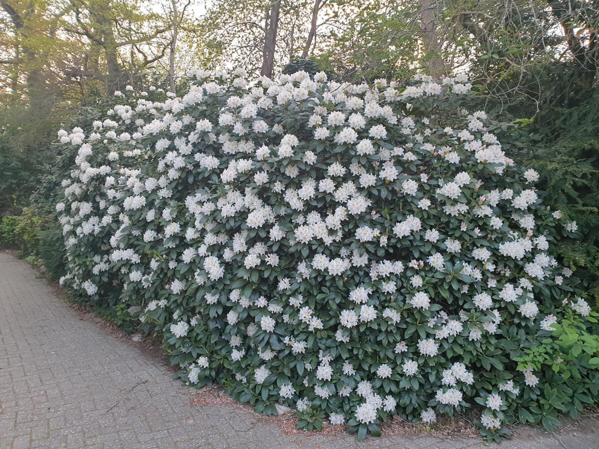 Kaminzimmer